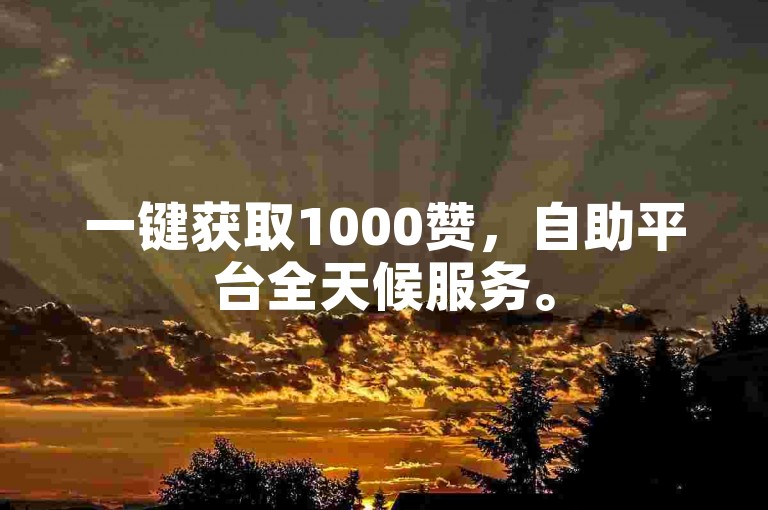 一键获取1000赞，自助平台全天候服务。