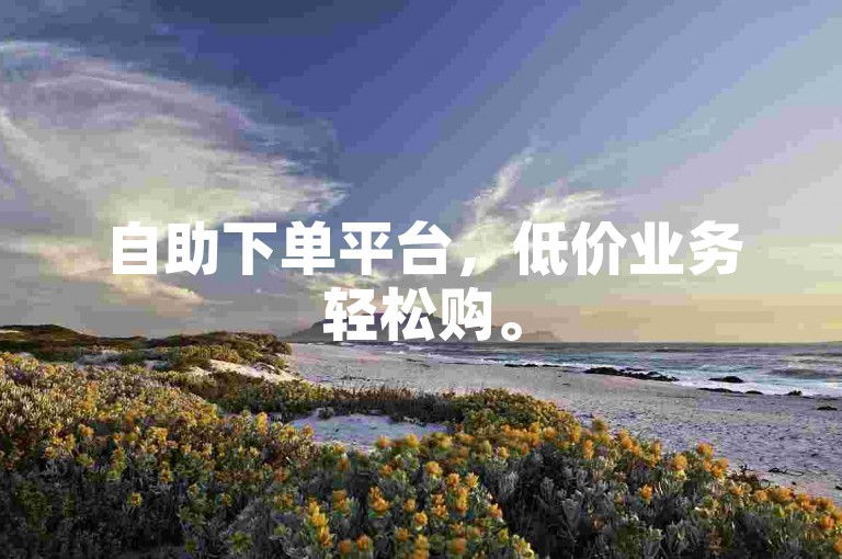 自助下单平台，低价业务轻松购。