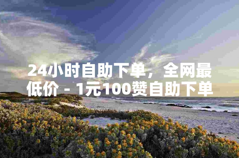 24小时自助下单，全网最低价 - 1元100赞自助下单平台