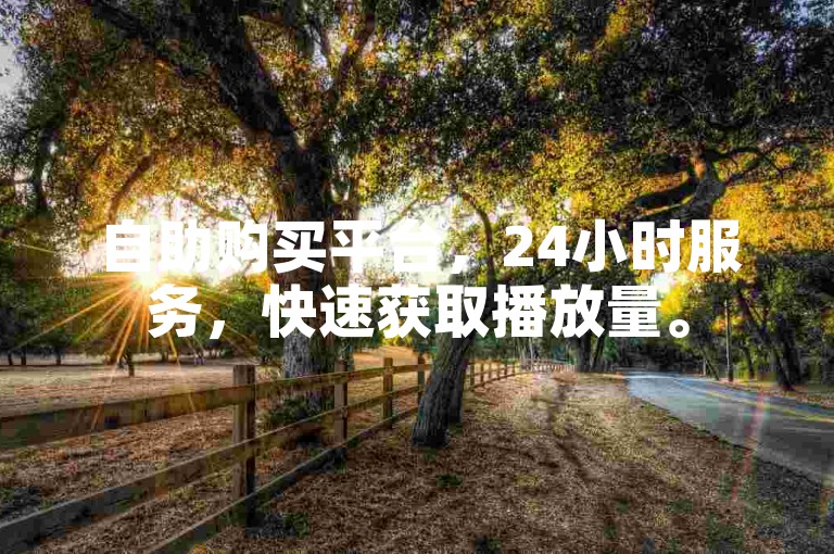 自助购买平台，24小时服务，快速获取播放量。