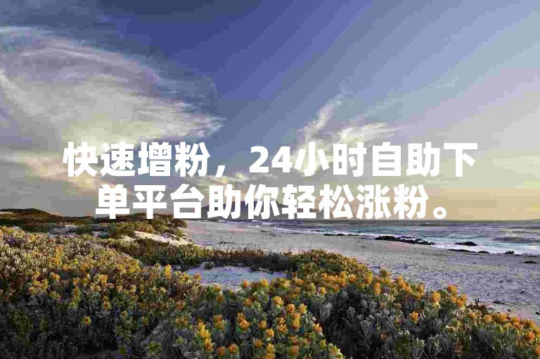 快速增粉，24小时自助下单平台助你轻松涨粉。