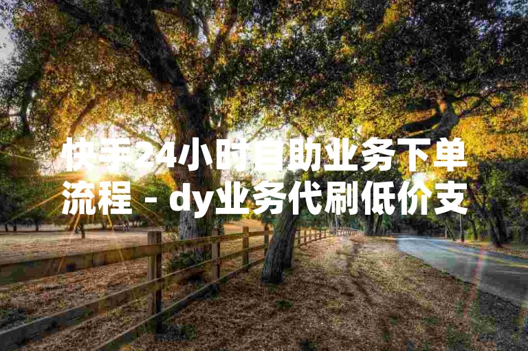 快手24小时自助业务下单流程 - dy业务代刷低价支付宝支付