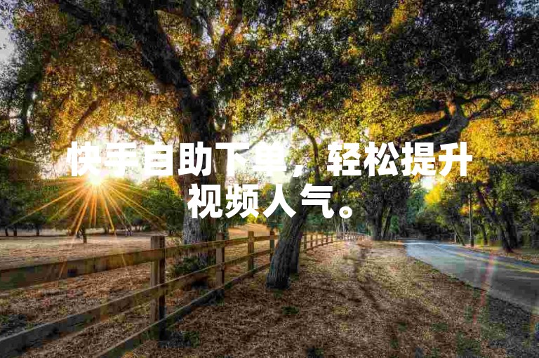 快手自助下单，轻松提升视频人气。