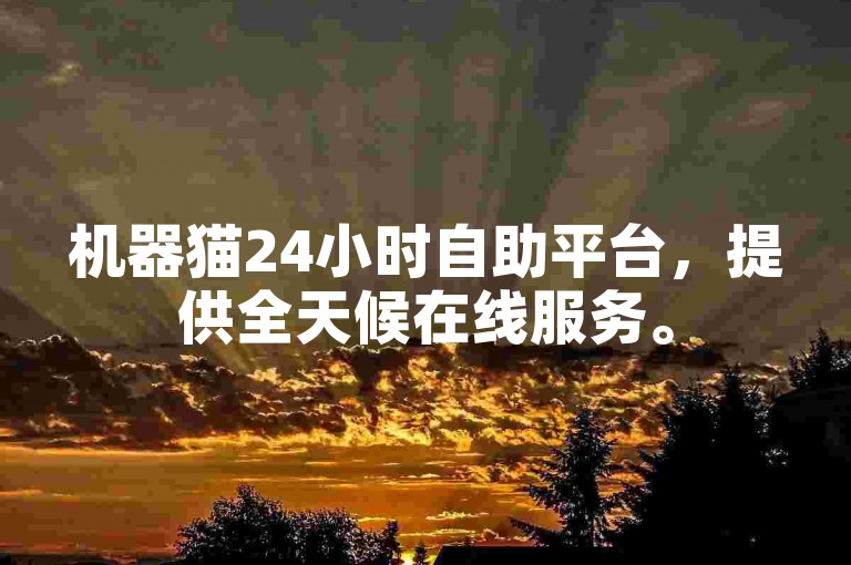 机器猫24小时自助平台，提供全天候在线服务。