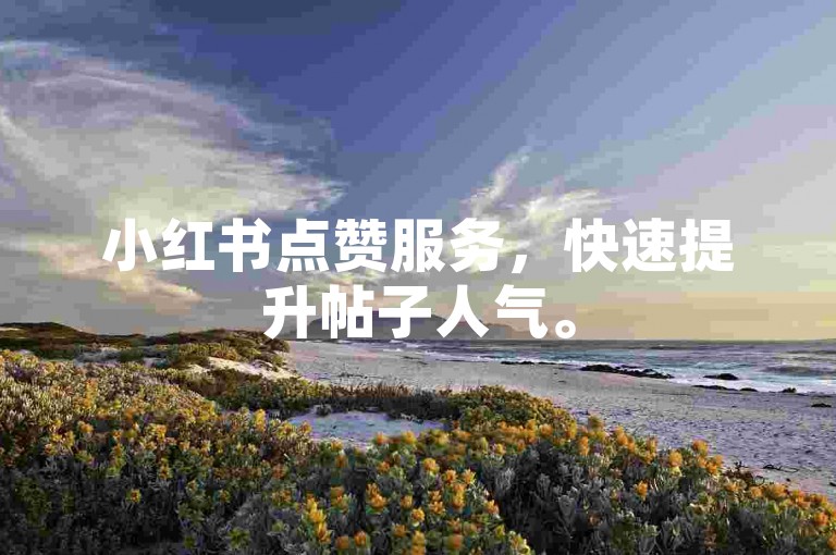 小红书点赞服务，快速提升帖子人气。