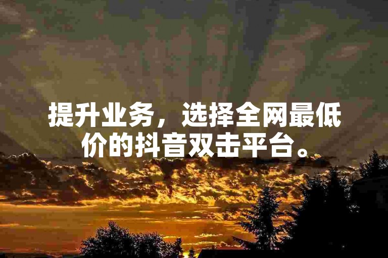 提升业务，选择全网最低价的抖音双击平台。