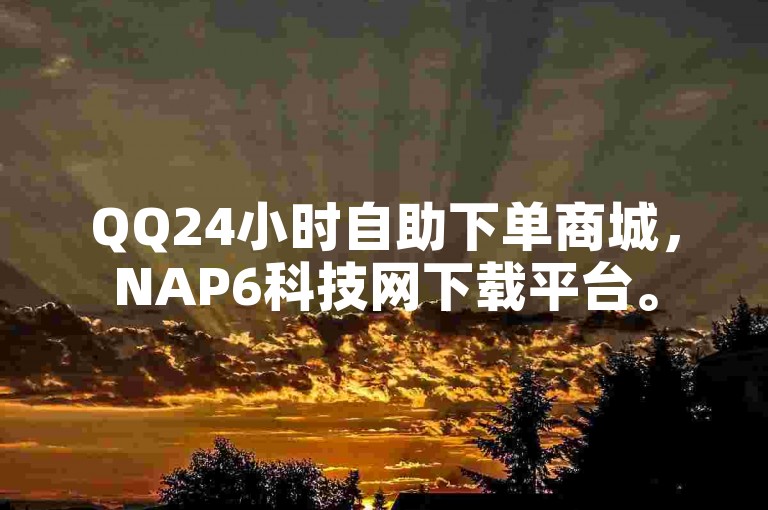 QQ24小时自助下单商城，NAP6科技网下载平台。