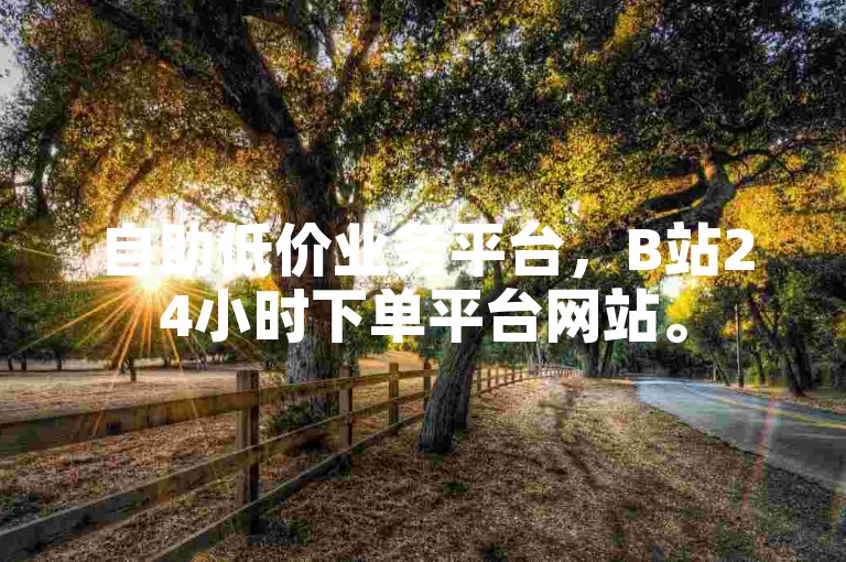 自助低价业务平台，B站24小时下单平台网站。