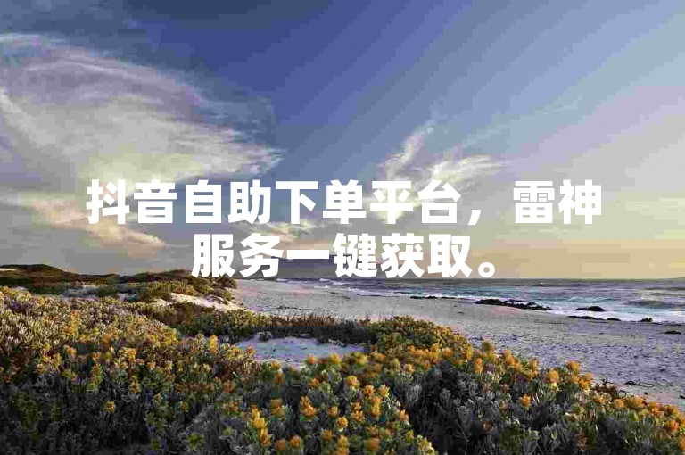 抖音自助下单平台，雷神服务一键获取。
