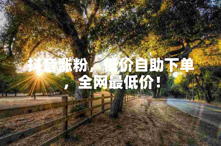 抖音涨粉，低价自助下单，全网最低价！