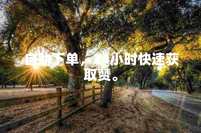 自助下单，24小时快速获取赞。