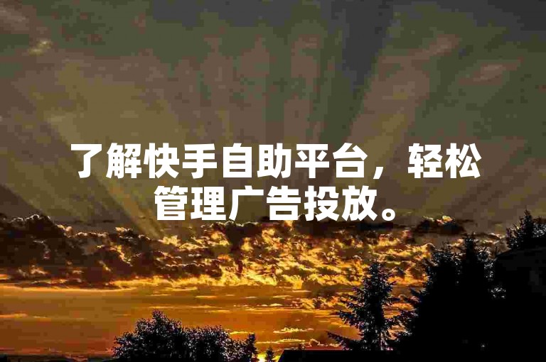 了解快手自助平台，轻松管理广告投放。