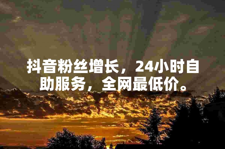 抖音粉丝增长，24小时自助服务，全网最低价。