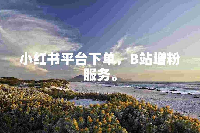 小红书平台下单，B站增粉服务。