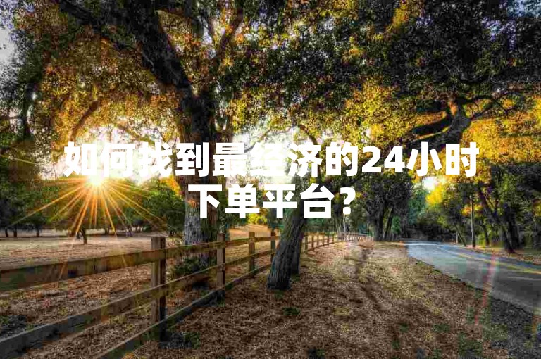 如何找到最经济的24小时下单平台？