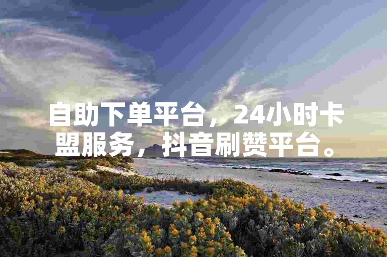 自助下单平台，24小时卡盟服务，抖音刷赞平台。