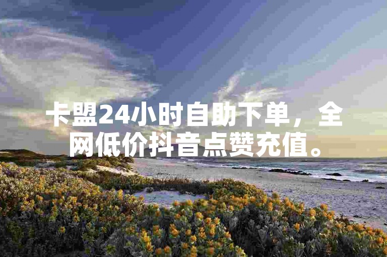 卡盟24小时自助下单，全网低价抖音点赞充值。