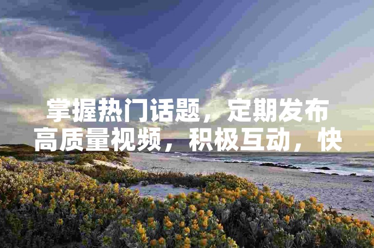 掌握热门话题，定期发布高质量视频，积极互动，快速涨粉不是梦。