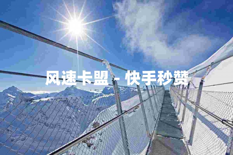 风速卡盟 - 快手秒赞5000,快速增粉平台
