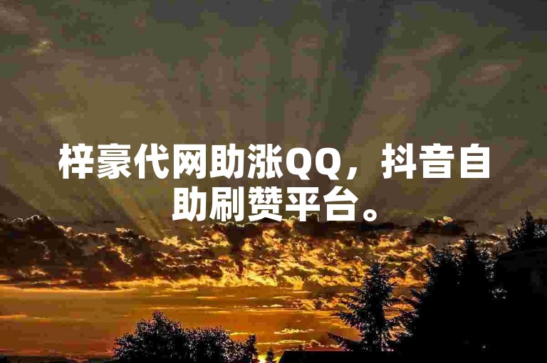 梓豪代网助涨QQ，抖音自助刷赞平台。