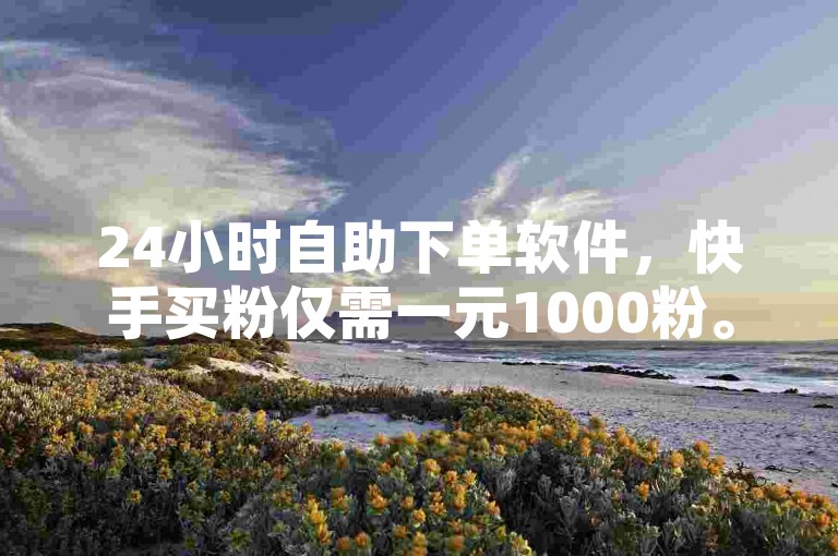 24小时自助下单软件，快手买粉仅需一元1000粉。