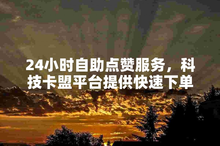 24小时自助点赞服务，科技卡盟平台提供快速下单。
