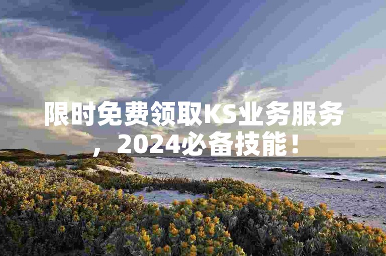 限时免费领取KS业务服务，2024必备技能！