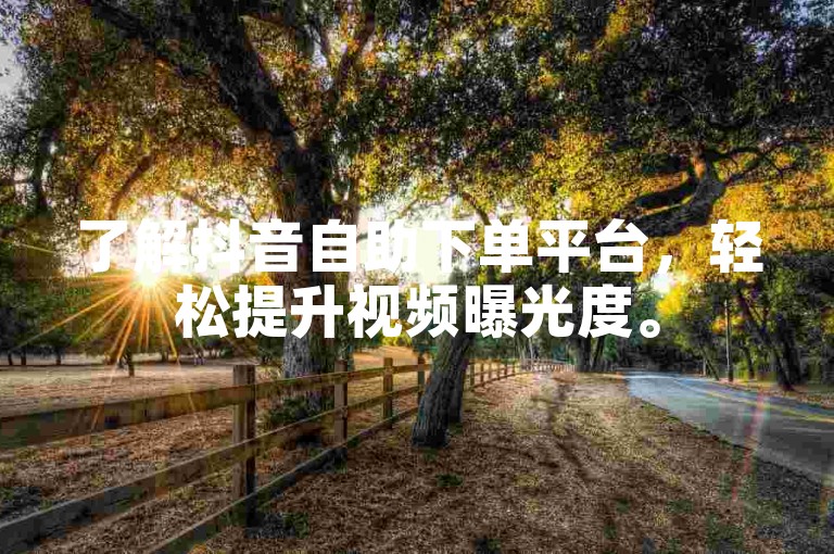 了解抖音自助下单平台，轻松提升视频曝光度。