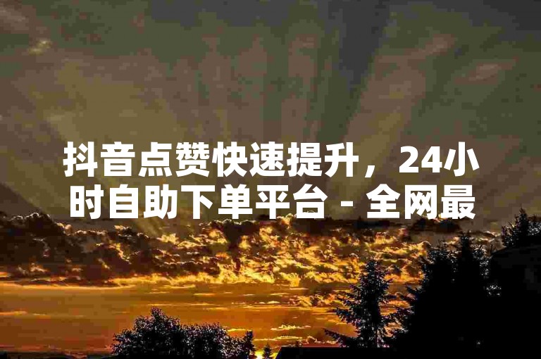抖音点赞快速提升，24小时自助下单平台 - 全网最低价。