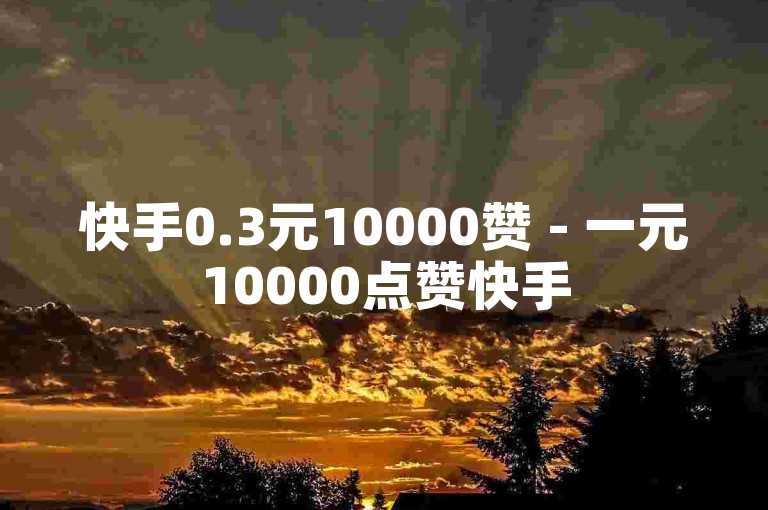 快手0.3元10000赞 - 一元10000点赞快手
