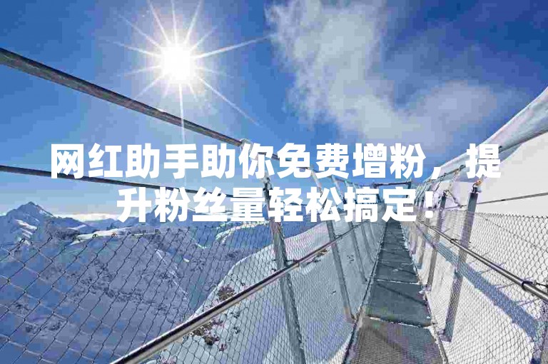 网红助手助你免费增粉，提升粉丝量轻松搞定！