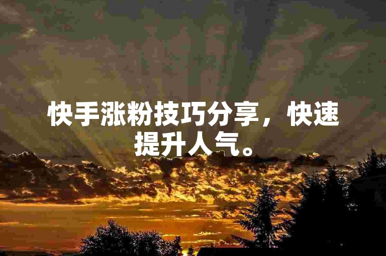 快手涨粉技巧分享，快速提升人气。