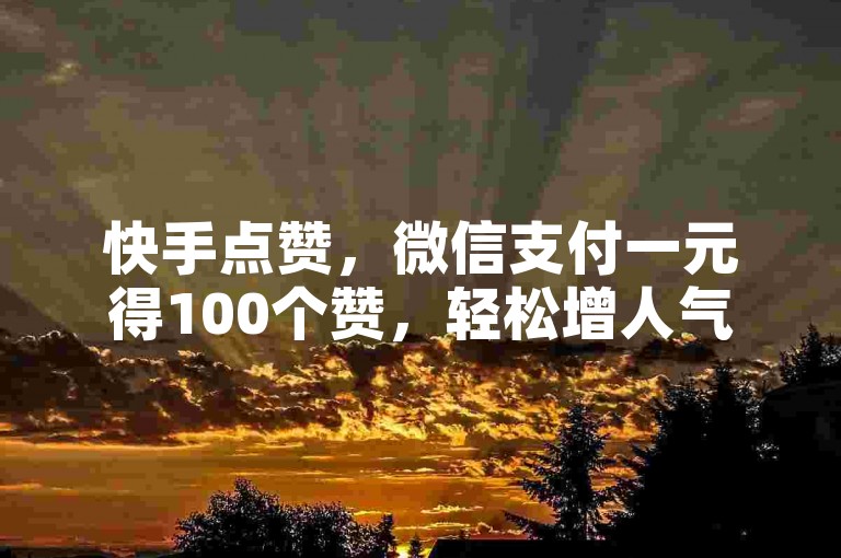 快手点赞，微信支付一元得100个赞，轻松增人气。