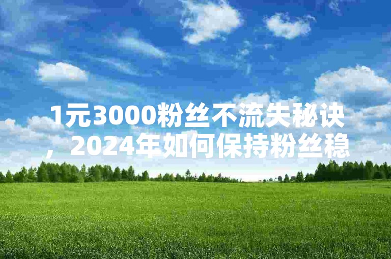 1元3000粉丝不流失秘诀，2024年如何保持粉丝稳定增长？