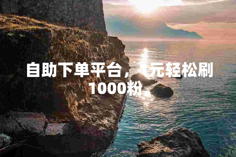 自助下单平台，1元轻松刷1000粉。