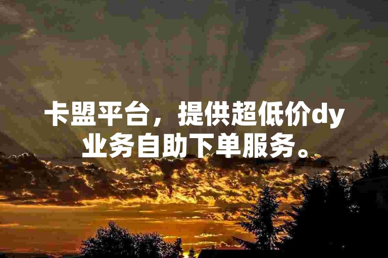 卡盟平台，提供超低价dy业务自助下单服务。