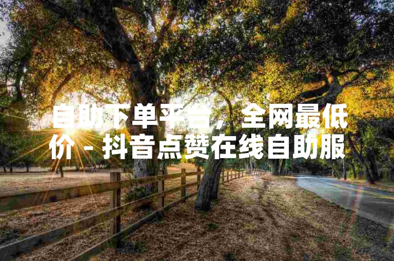 自助下单平台，全网最低价 - 抖音点赞在线自助服务。
