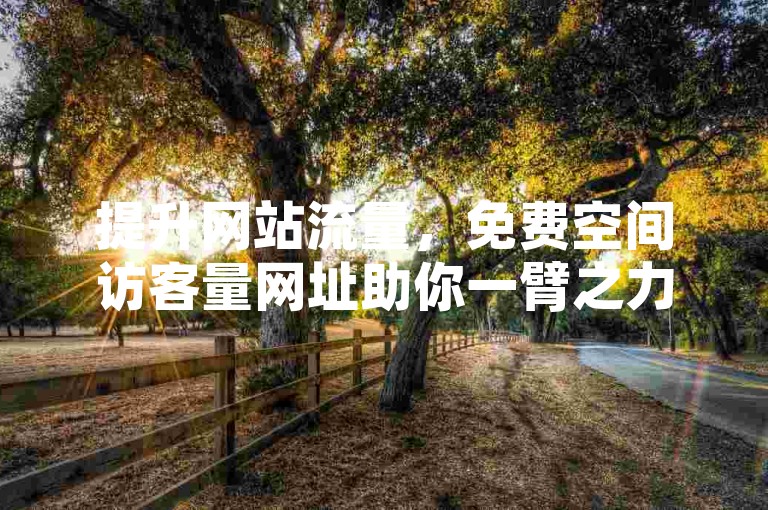 提升网站流量，免费空间访客量网址助你一臂之力。