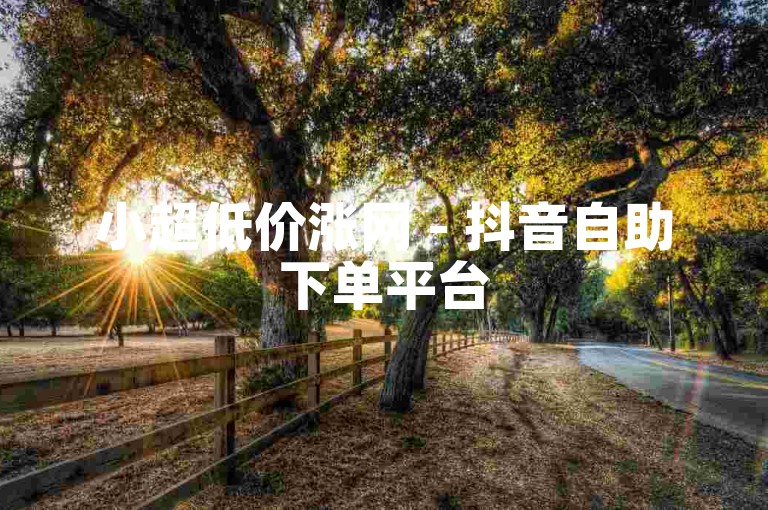 小超低价涨网 - 抖音自助下单平台