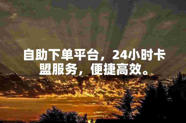 自助下单平台，24小时卡盟服务，便捷高效。