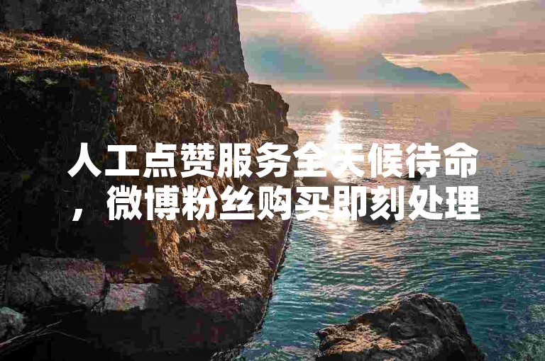 人工点赞服务全天候待命，微博粉丝购买即刻处理。