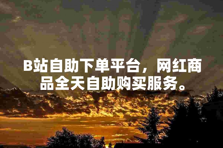 B站自助下单平台，网红商品全天自助购买服务。
