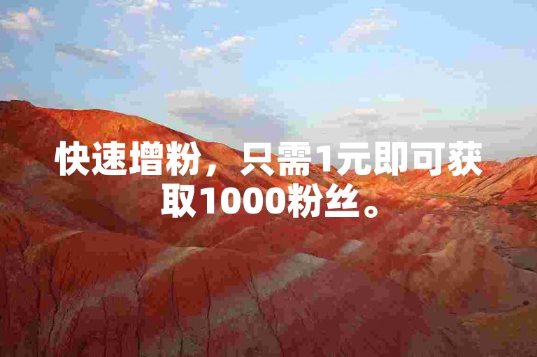 快速增粉，只需1元即可获取1000粉丝。