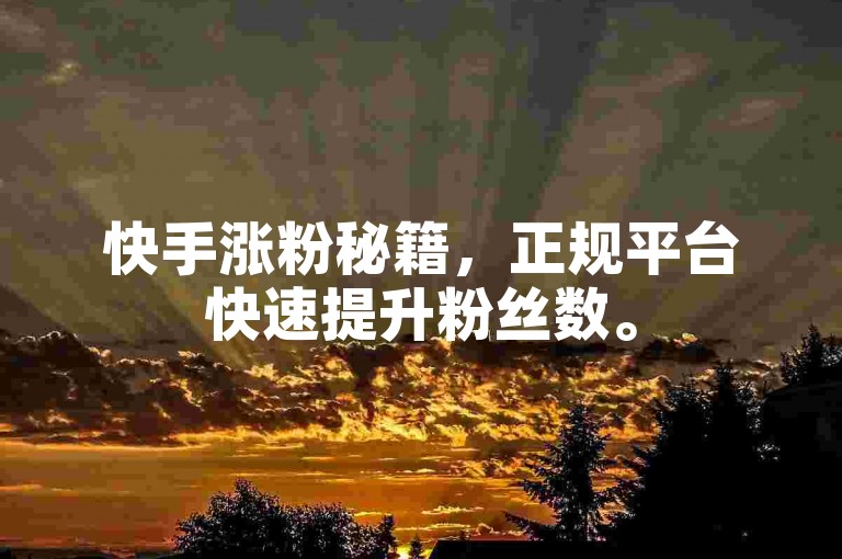快手涨粉秘籍，正规平台快速提升粉丝数。