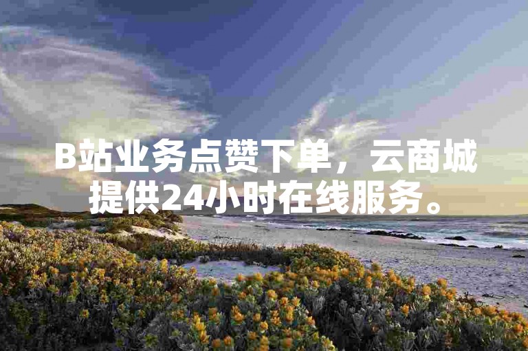B站业务点赞下单，云商城提供24小时在线服务。