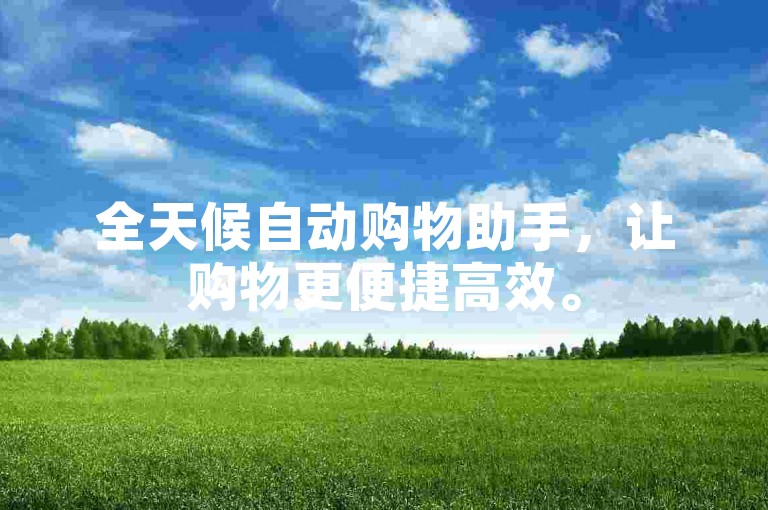 全天候自动购物助手，让购物更便捷高效。