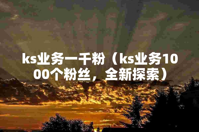 ks业务一千粉（ks业务1000个粉丝，全新探索）