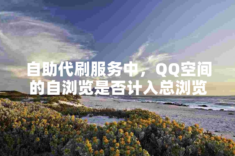 自助代刷服务中，QQ空间的自浏览是否计入总浏览量？