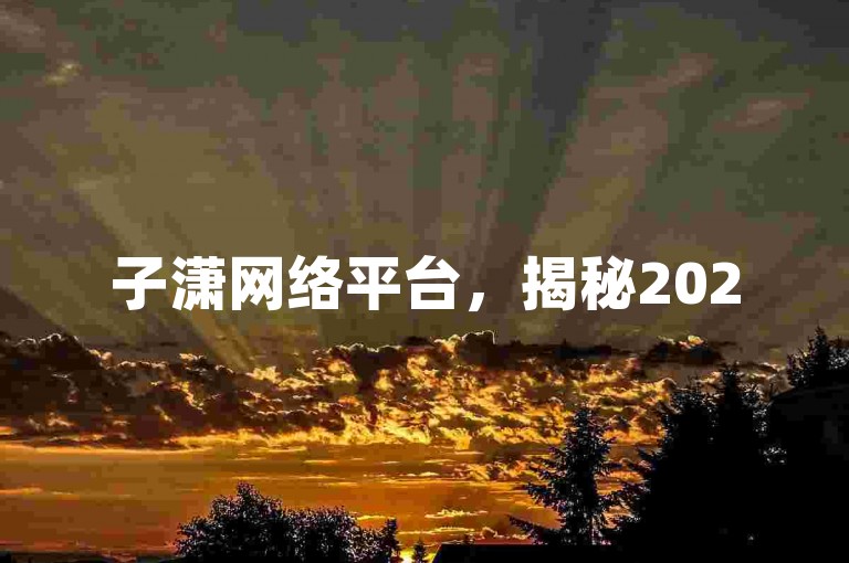 子潇网络平台，揭秘2025必备的SEO优化工具！
