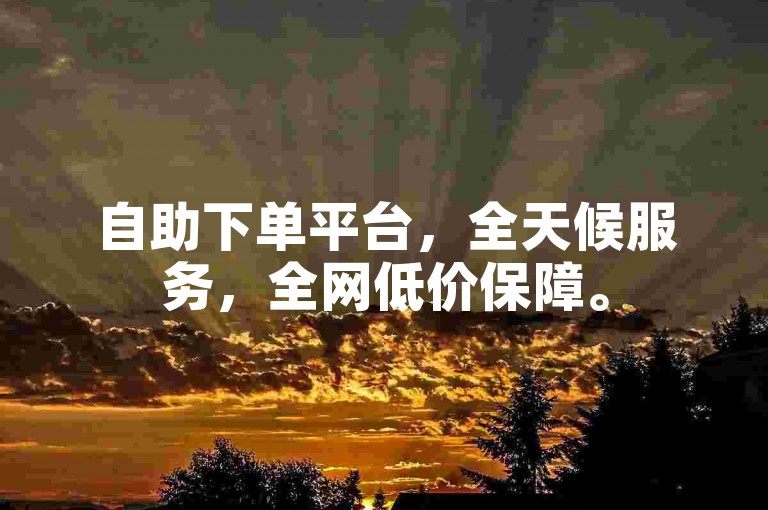 自助下单平台，全天候服务，全网低价保障。